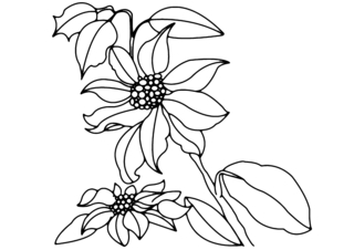 Flowers 013 - Coloring pages of flowers, fruits, and vegetables - Coloring book - 10doigts.com