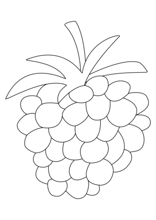 Raspberry 01 - Coloring pages of flowers, fruits, and vegetables - Coloring book - 10doigts.com