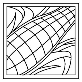 Corn 01 - Coloring pages of flowers, fruits, and vegetables - Coloring book - 10doigts.com