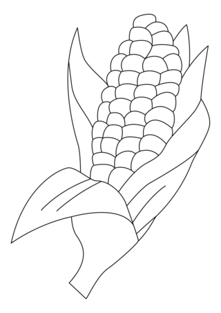 Corn 02 - Coloring pages of flowers, fruits, and vegetables - Coloring book - 10doigts.com