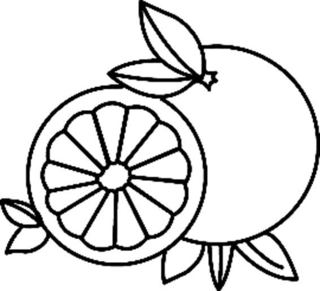 Orange 01 - Coloring pages of flowers, fruits, and vegetables - Coloring book - 10doigts.com