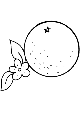 Orange 02 - Coloring pages of flowers, fruits, and vegetables - Coloring book - 10doigts.com