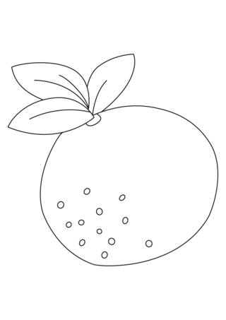 Orange 03 - Coloring pages of flowers, fruits, and vegetables - Coloring book - 10doigts.com