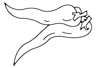 Peppers 01 - Coloring pages of flowers, fruits, and vegetables - Coloring book - 10doigts.com