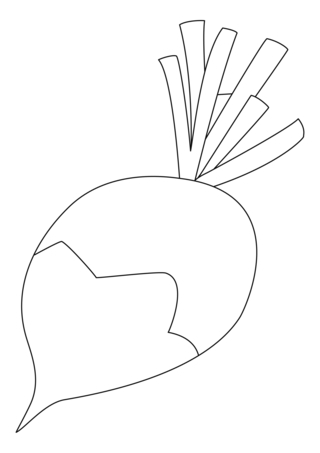 Radish 01 - Coloring pages of flowers, fruits, and vegetables - Coloring book - 10doigts.com