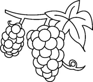 Grape 01 - Coloring pages of flowers, fruits, and vegetables - Coloring book - 10doigts.com