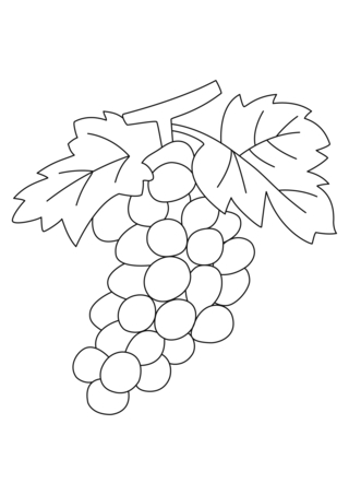 Grapes 02 - Coloring pages of flowers, fruits, and vegetables - Coloring book - 10doigts.com