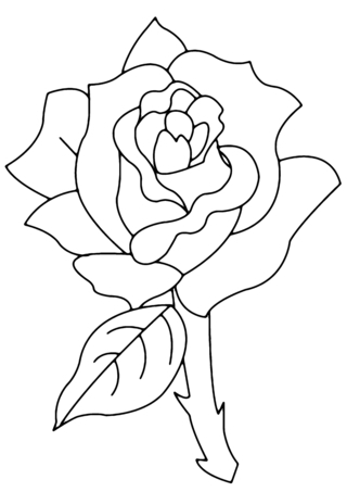 Pink 02 - Coloring pages of flowers, fruits, and vegetables - Coloring book - 10doigts.com