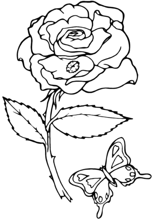 Pink 06 - Coloring pages of flowers, fruits, and vegetables - Coloring book - 10doigts.com