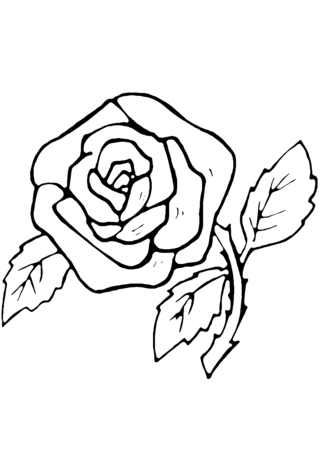 Pink 07 - Coloring pages of flowers, fruits, and vegetables - Coloring book - 10doigts.com