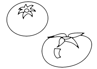 Tomatoes 01 - Coloring pages of flowers, fruits, and vegetables - Coloring book - 10doigts.com