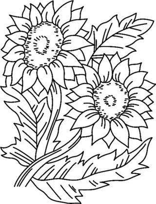 Sunflowers 01 - Coloring pages of flowers, fruits, and vegetables - Coloring book - 10doigts.com
