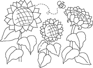 Sunflowers 03 - Coloring pages of flowers, fruits, and vegetables - Coloring book - 10doigts.com