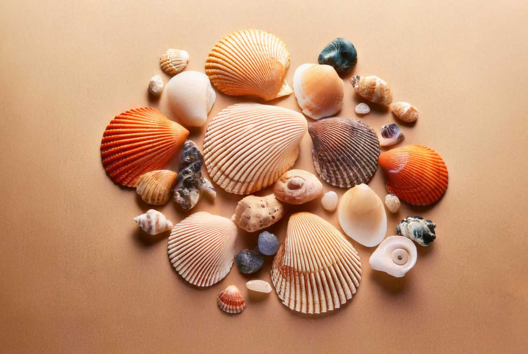 Pebbles and Shells - Natural Materials and Products - 10doigts.fr