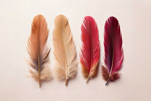 Decorative Feathers - Creative accessories - 10doigts.fr