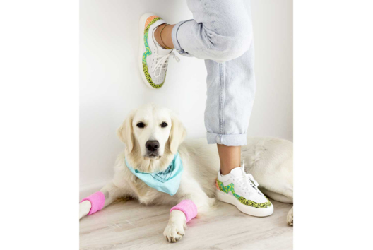 Customize Sneakers with Glue Varnish! - 2 - Craft activities with glue and varnish - 10doigts.com - Craft Activities with Varnish Collage: Decorate and Personalize Your Objects - 10doigts.fr - 2