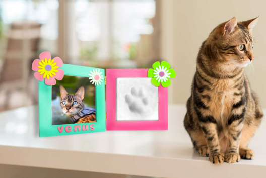 Pet Paw Print Frame - 1 - DIY Home Decor Crafts - 10doigts.com - Handicrafts Home Decor DIY - 10doigts.fr