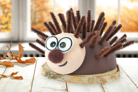 Raymond the Hedgehog - 1 - Animal Crafts: Our Creative Ideas for Children - 10doigts.com - Animal Crafts: Our Creative Ideas for Children - 10doigts.fr