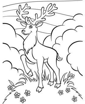 Animales-bosque3 - 10doigts.fr