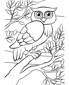 Forest animals 4 - 10doigts.fr