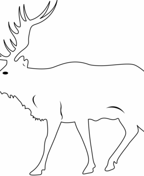 Deer 02 - 10doigts.fr