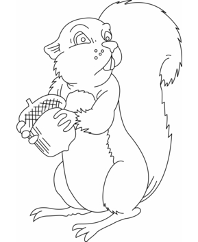 Squirrel 04 - 10doigts.fr