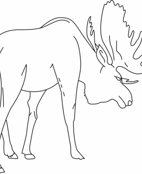 Elan 01 - 10doigts.fr