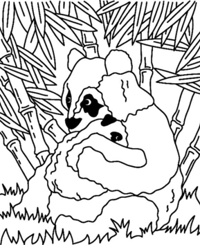 Panda 01 - 10doigts.fr