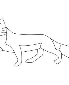 Zorro 01 - 10doigts.fr