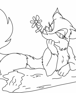 Fox 02 - 10doigts.fr