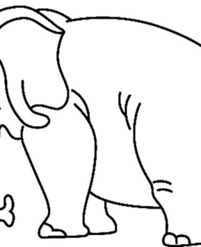 Elephant 09 - 10doigts.fr