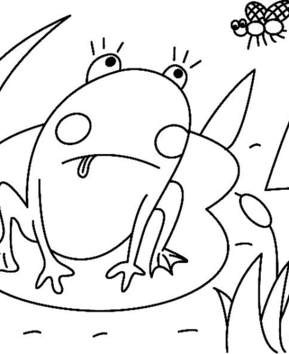 Frog 01 - 10doigts.fr