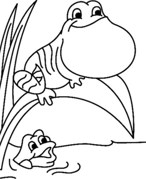 Frog 05 - 10doigts.fr
