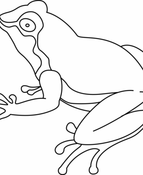 Frog 07 - 10doigts.fr