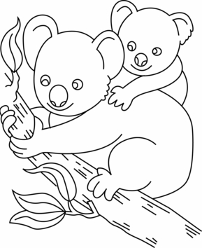 Koala 01 - 10doigts.fr