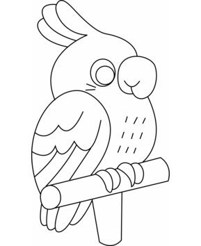 Parakeet 001 - 10doigts.fr