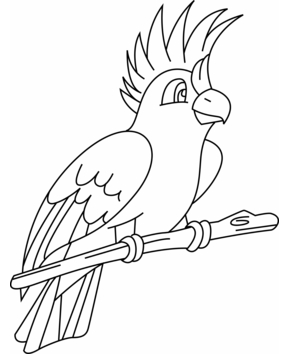 Parakeet 002 - 10doigts.fr