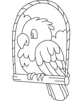 Budgerigar 003 - 10doigts.fr