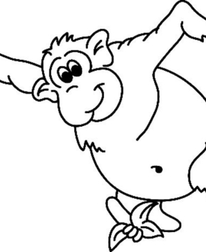 Monkey07 - 10doigts.fr
