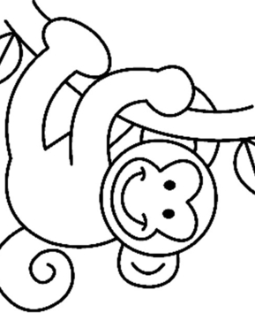 Monkey08 - 10doigts.fr