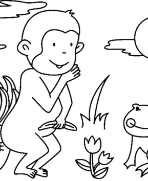 Monkey09 - 10doigts.fr