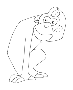 Monkey11 - 10doigts.fr