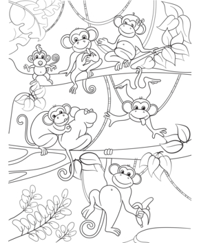 Monkey12 - 10doigts.fr