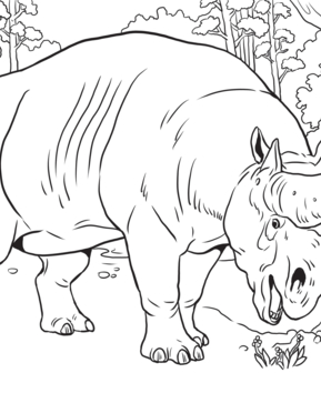 Savannah-animals10 - 10doigts.fr