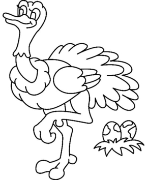 Avestruz 01 - 10doigts.fr