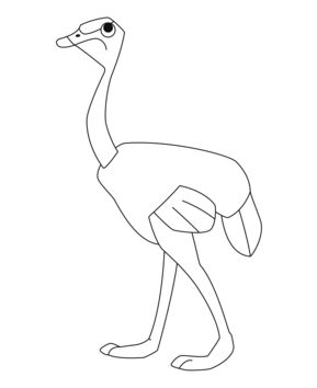 Ostrich 02 - 10doigts.fr