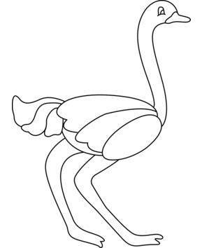 Ostrich 04 - 10doigts.fr