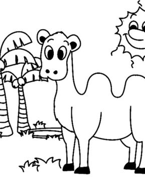 Dromedario 01 - 10doigts.fr