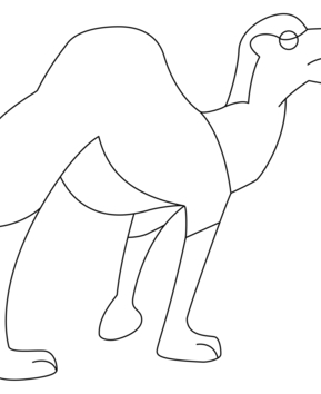 Dromedary 02 - 10doigts.fr