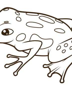 Frog09 - 10doigts.fr